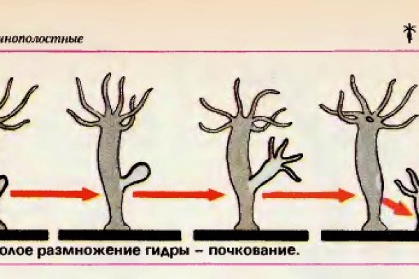 Ссылка на кракен в тор